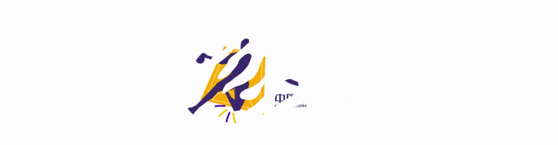 2017中国女子手球锦标赛,中国手球女子比赛视频