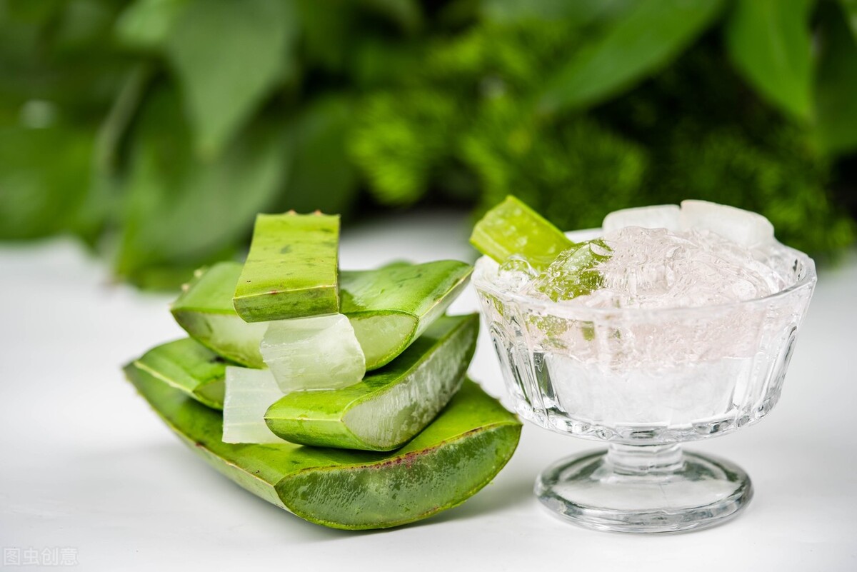 容易爆盆的多肉好养还好看,多肉夏季在室外养还是阳台上养好