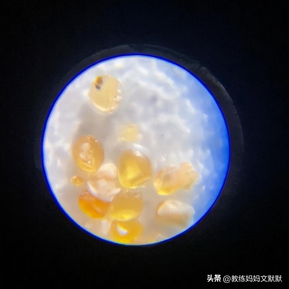 十九元买什么玩具好,一百块钱以内最值得购买的玩具