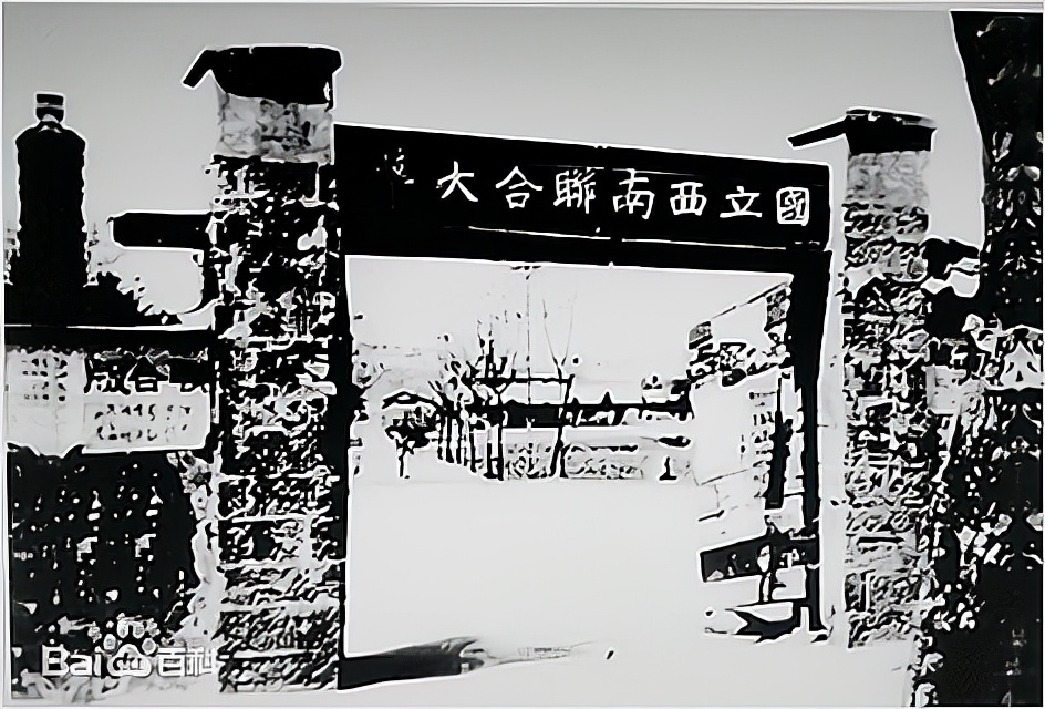 华罗庚所说过的话,华罗庚的最后演讲