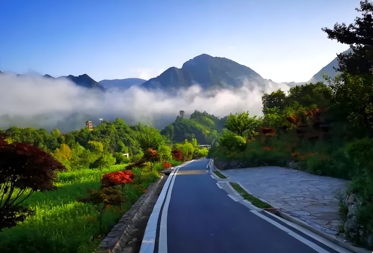氧居田园山水康县，一个你值得去体验的地方！