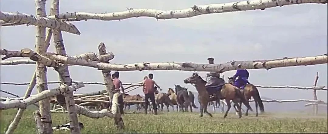 一代宗师退出队伍,一代名导林天师