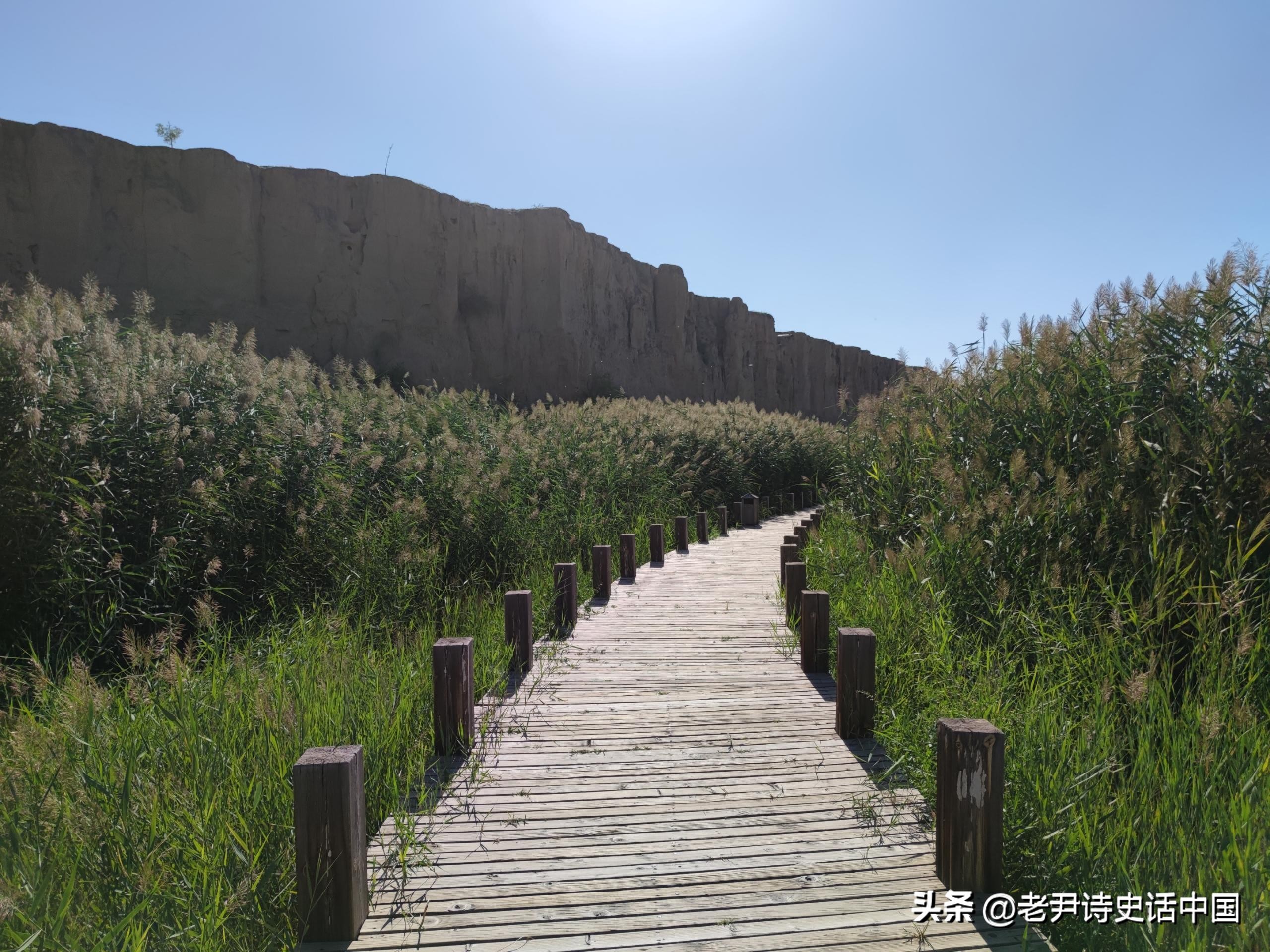 老尹感悟,老尹解读