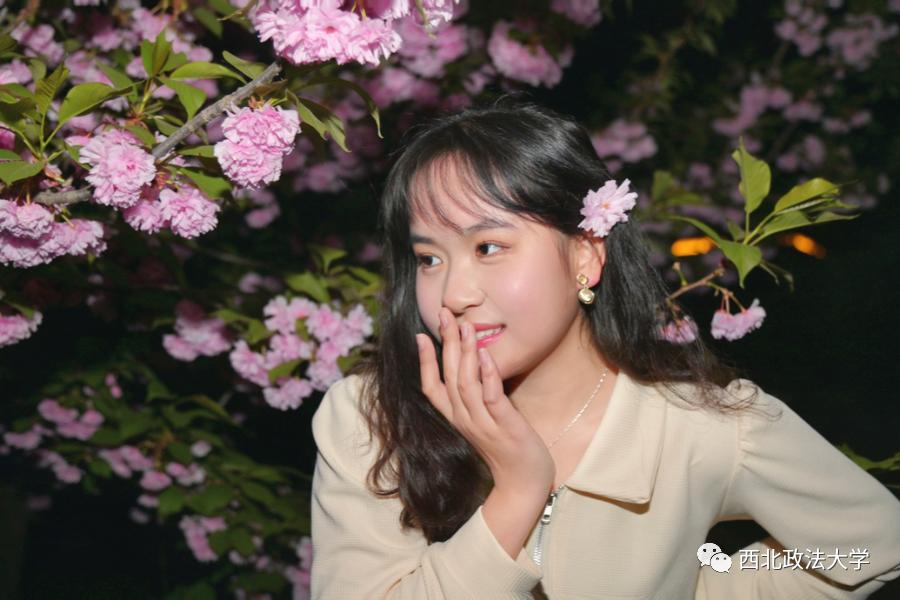 西法大到底是什么,西法大是什么意思网络用语