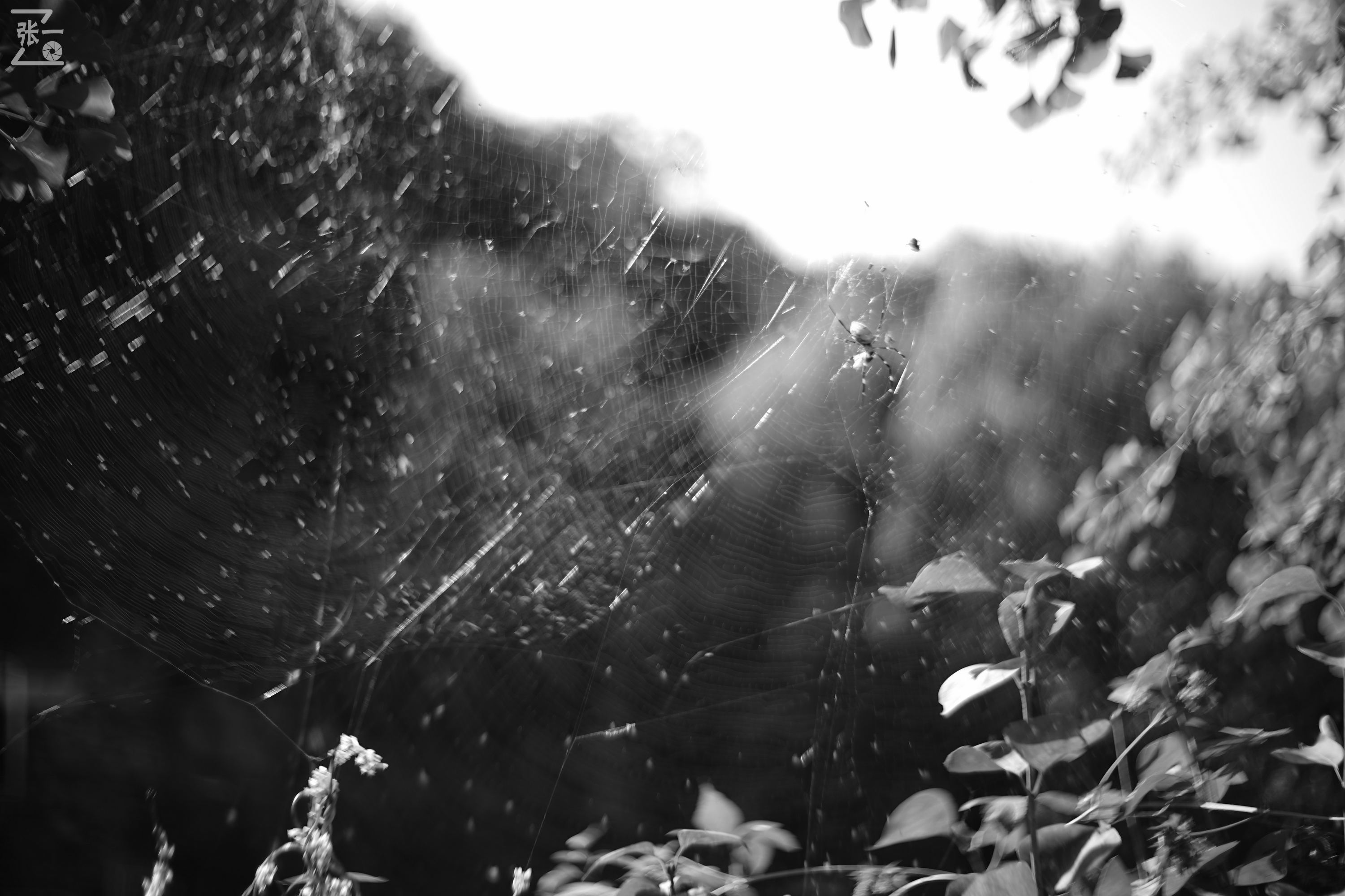 老镜头实拍,老镜头拍北京