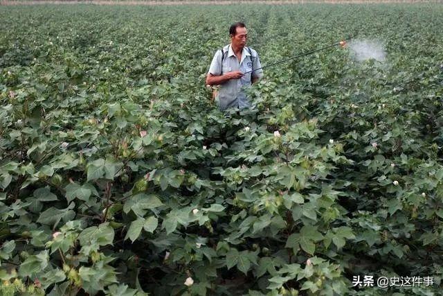 16岁女孩为养家三度卖血,16岁女孩为哥哥卖血上学山东