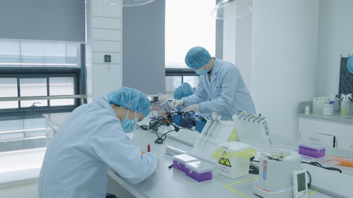 科学解释人死了会变成什么,人死后到底去哪了科学家给出解释