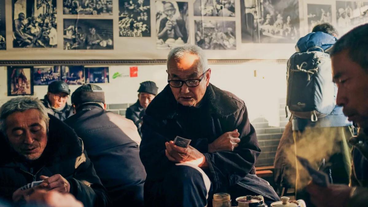 冬日的暖阳,冬日的暖阳透过树影温暖人间