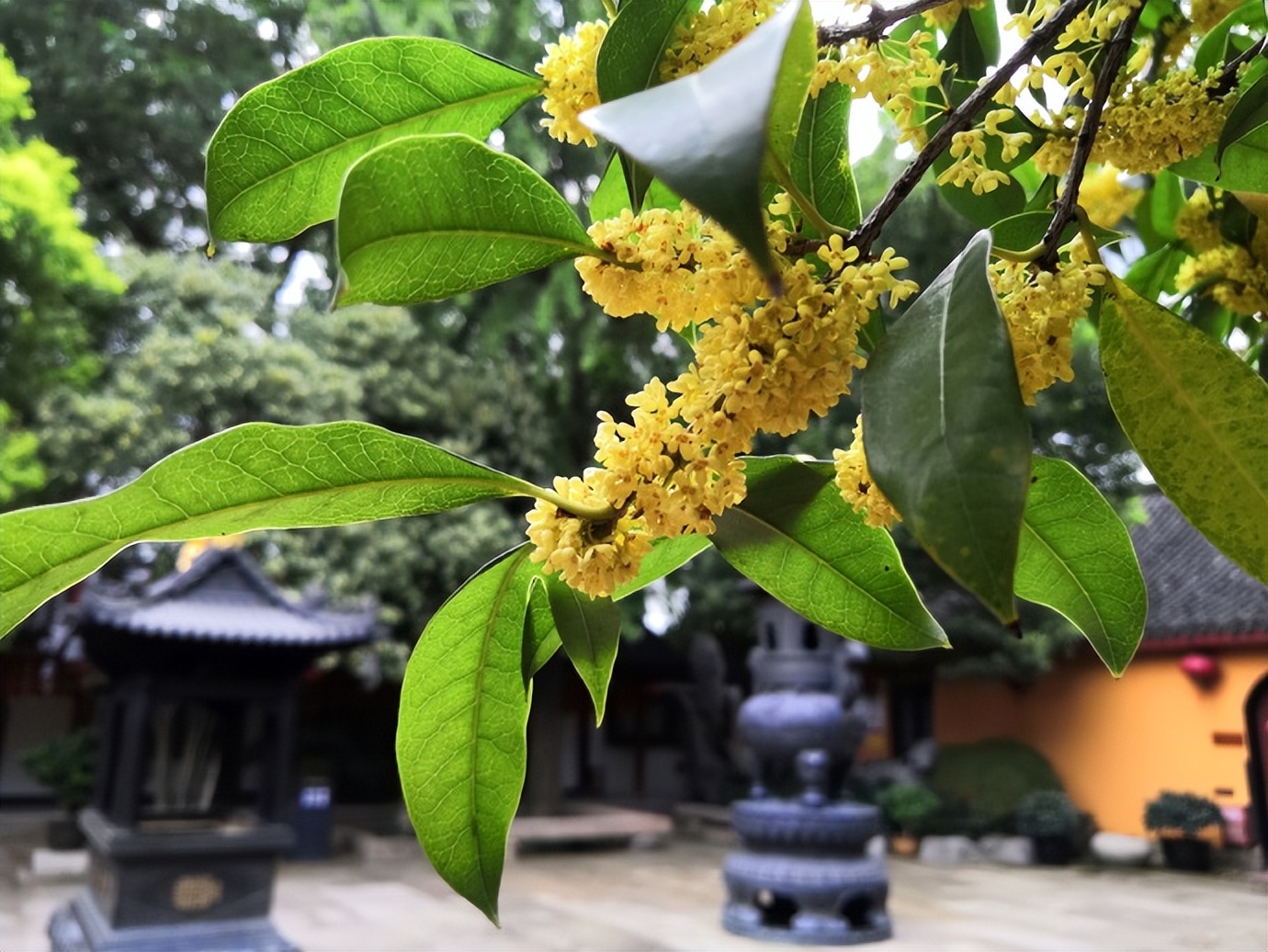 梦到亲人离世预示着什么,梦到已故的亲人往往预示着三件事