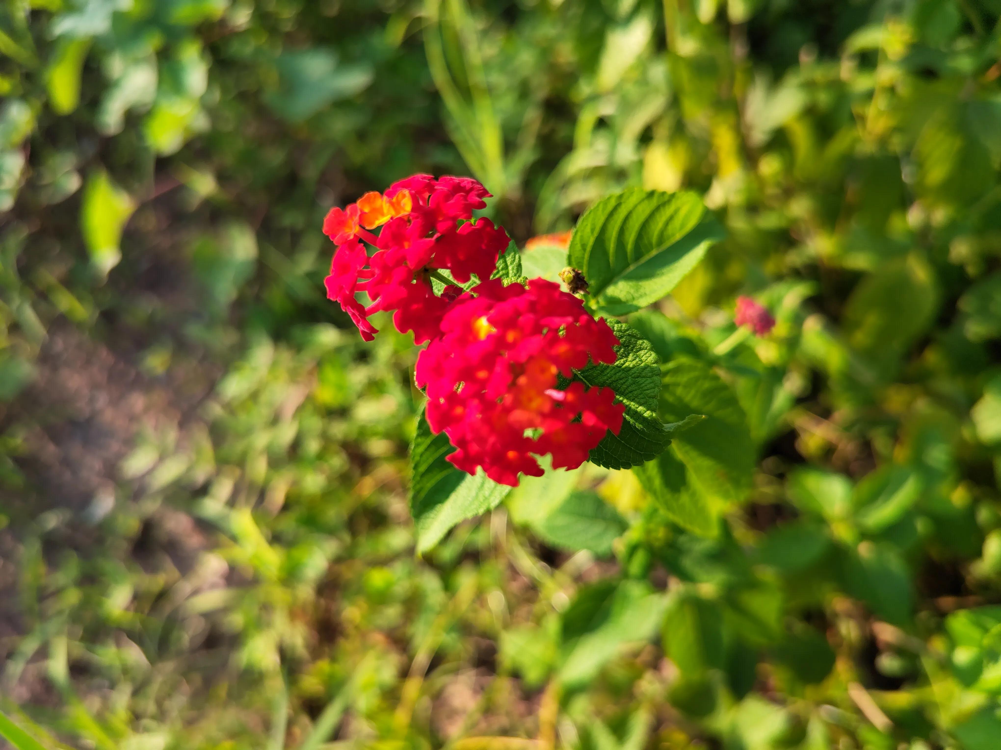 浅论财务风险管理,小白如何入门股票账户管理