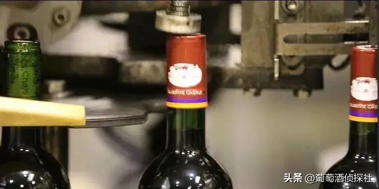 正宗葡萄酒酿造法,葡萄酒酿造步骤精简