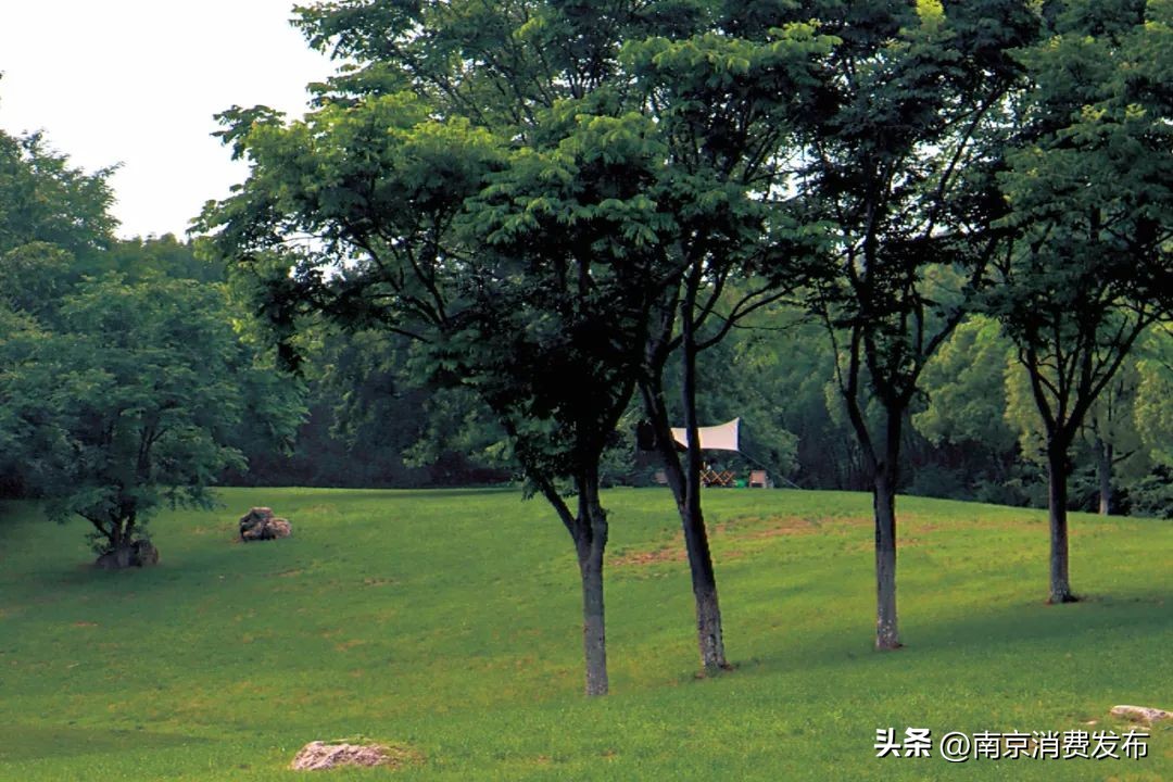 南京citywalk指南,南京12月份citywalk