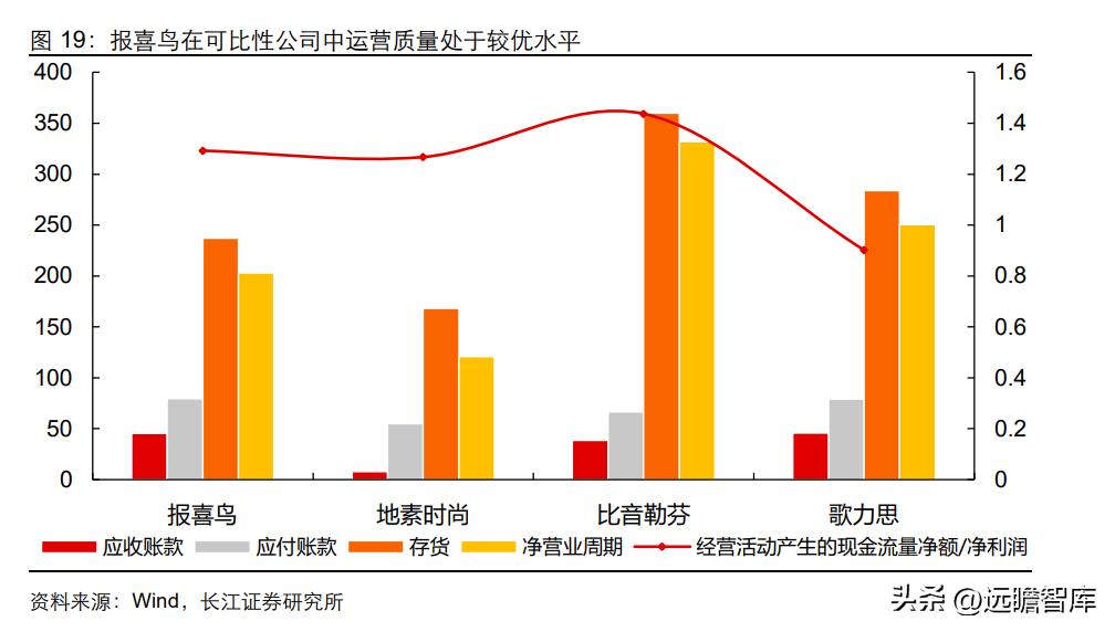 中高端男装领军者，报喜鸟：鸿翔鸾起，不坠青云之志