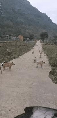 女孩去纹身结果喜欢上了纹身师,陪老婆去纹身