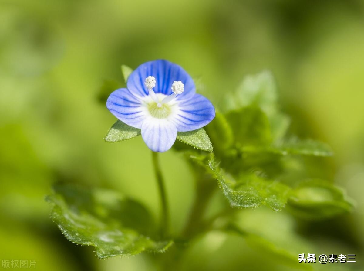 女作家去做保姆最新一期内容,女作家去做保姆520