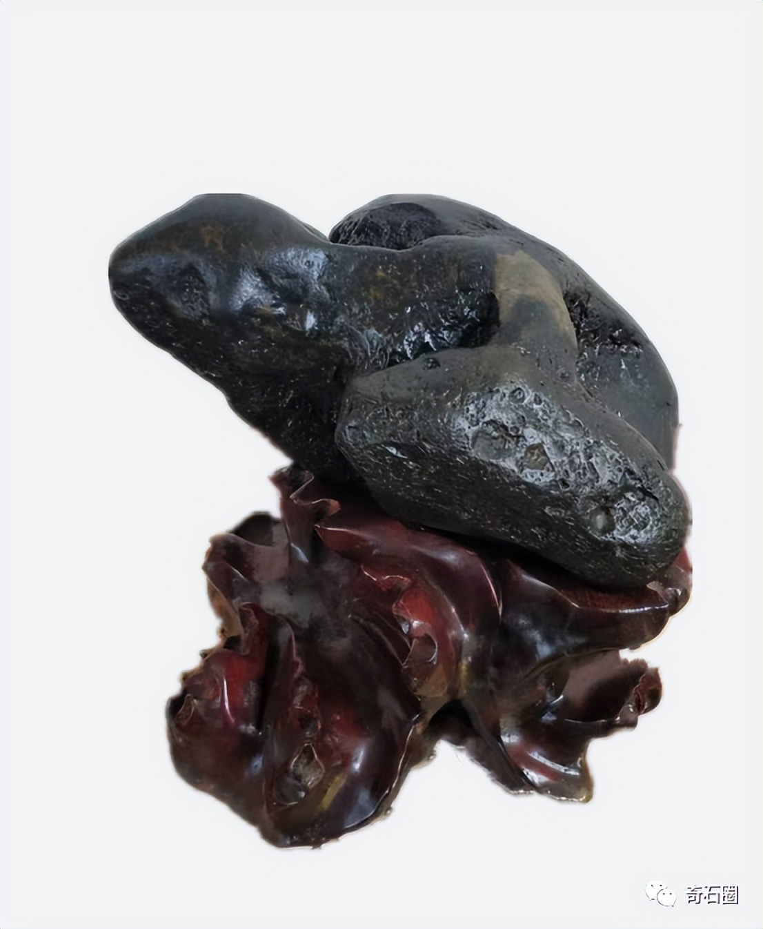 龟形奇石图片大全,获奖奇石龟图片大全