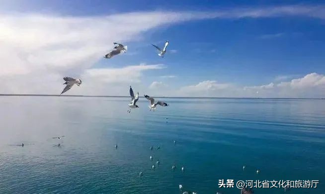 十大避暑胜地揭榜,十个最佳避暑胜地排名榜