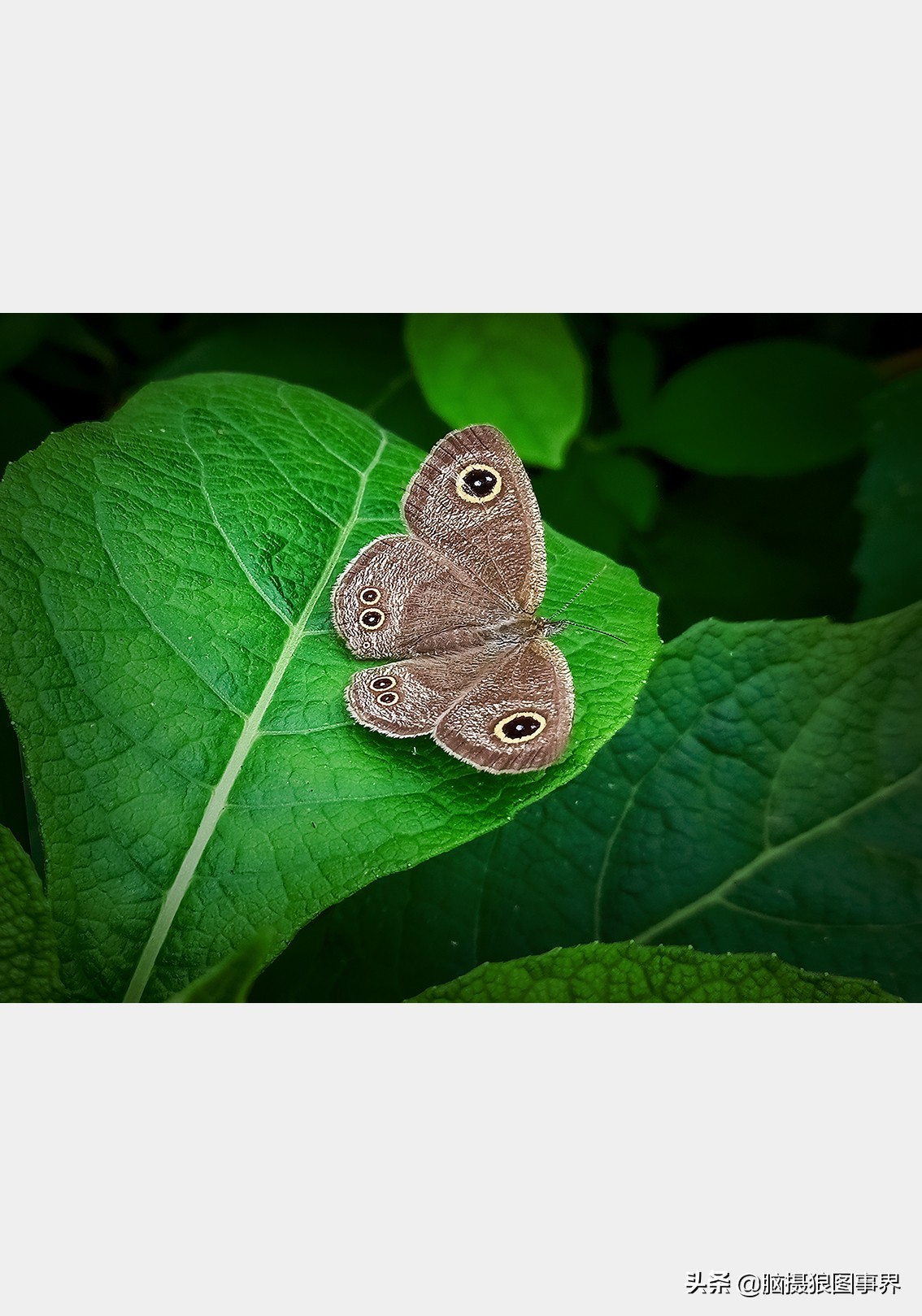 手机拍照不清晰怎么才能拍的好看,vivo手机拍照模糊怎样才能变清晰