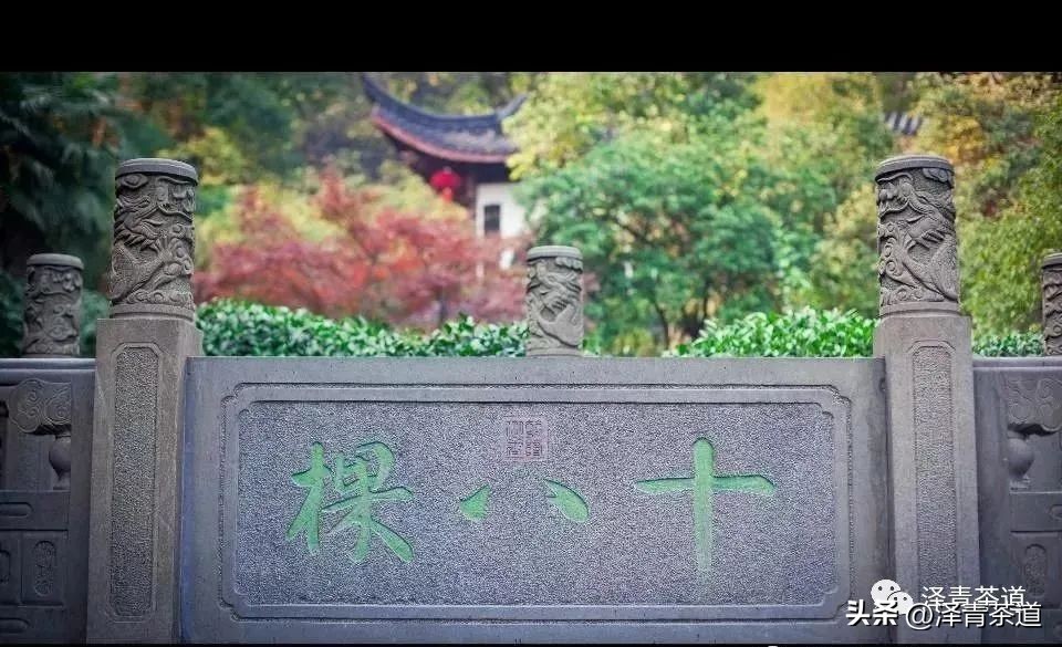 “自古名寺出名茶”，什么样的茶才能称为禅茶呢？