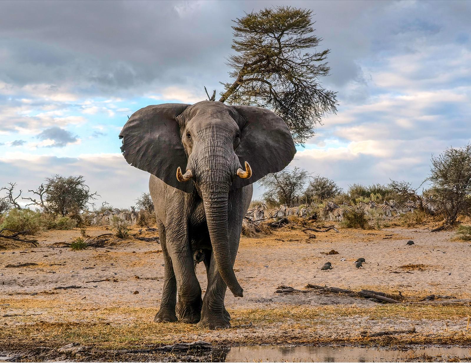 从2021年开始哪些手机拍照很好,2022年拍照摄影功能最好的手机