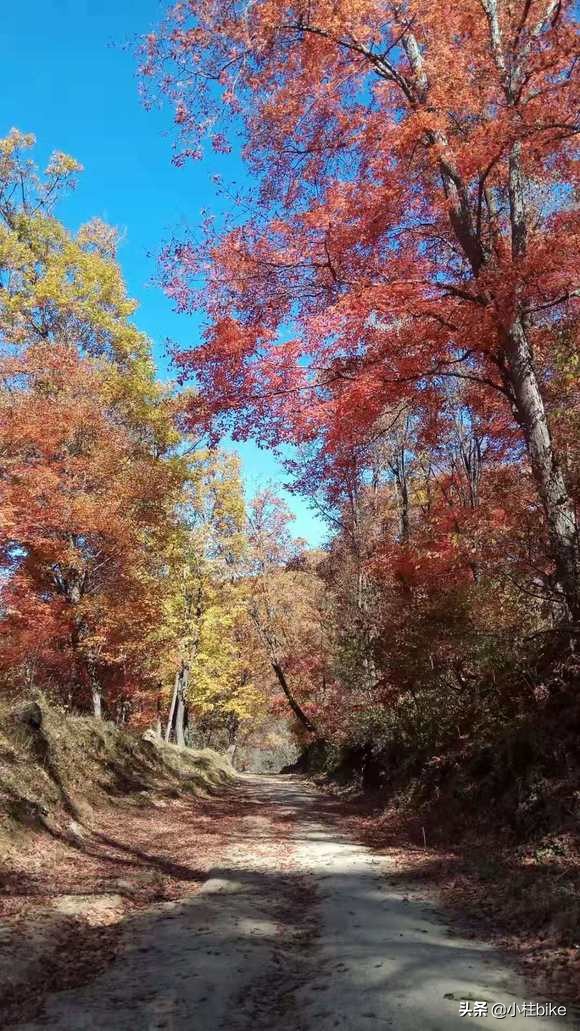 适合旅行的公路自行车推荐,最舒适助力旅行自行车推荐