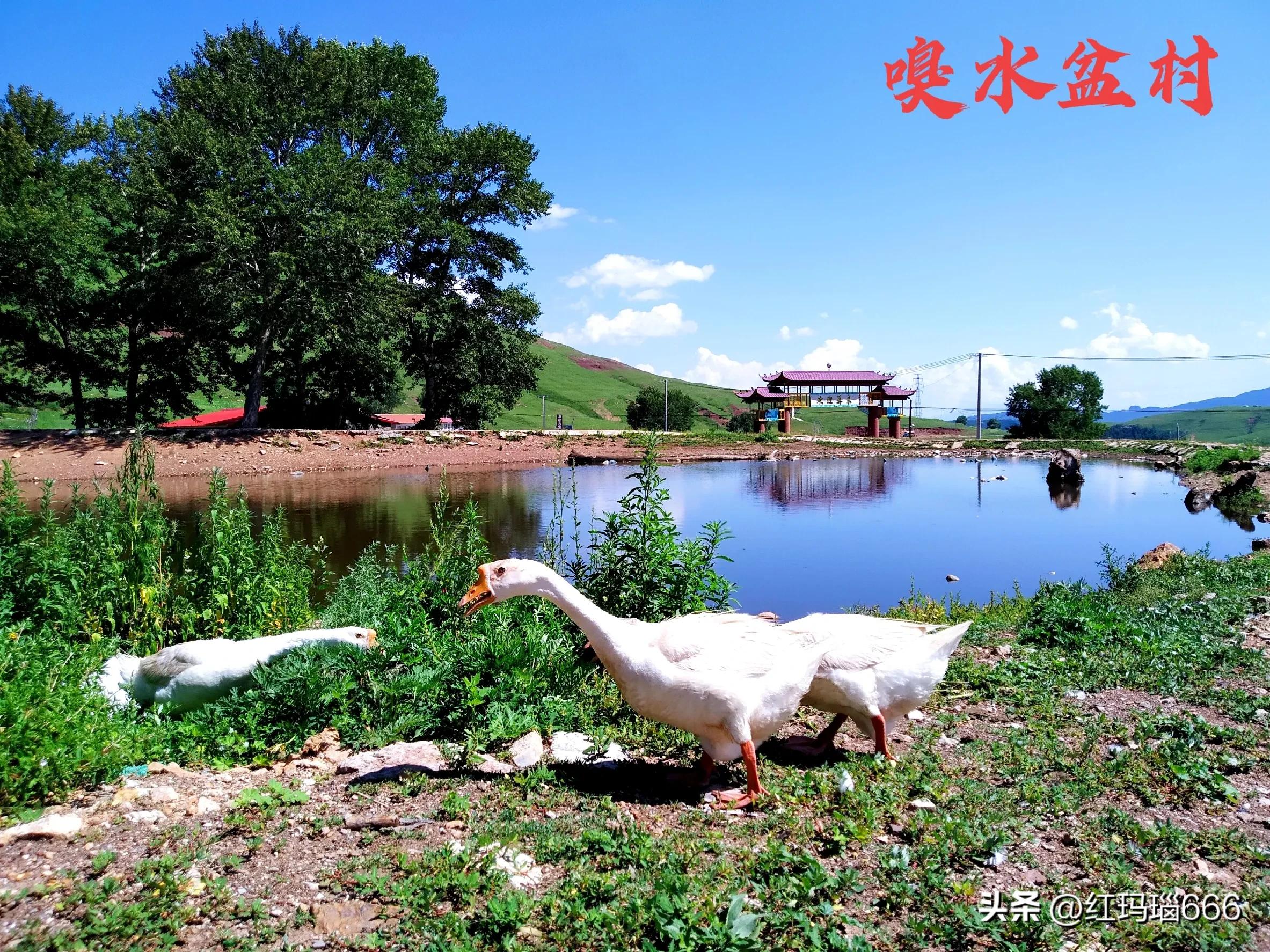 张家口旅游必去十大景点,张家口打卡网红地免费