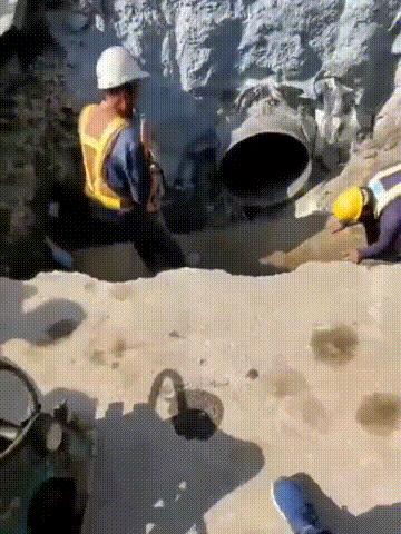 自来水中惊现大量蚂蝗幼虫,广西自来水有蚂蝗