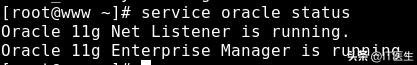 oracle11g安装教程,安装oracle11g全过程linux