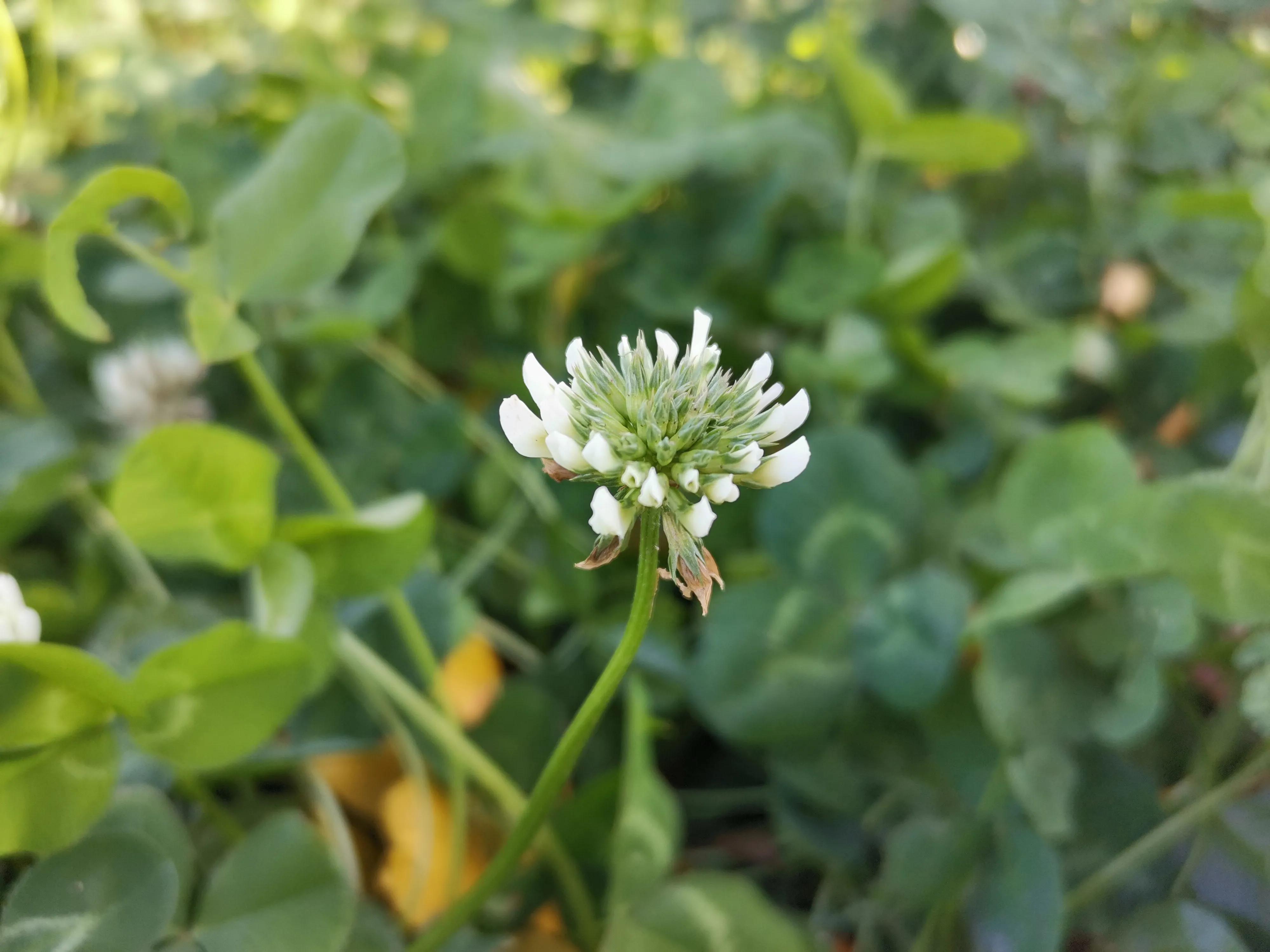 天津冬天适合漫步的公园,天津公园赏秋游玩攻略