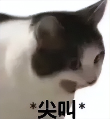 混战数月后，国产AI办公神器彻底学会“自己办公”了吗？