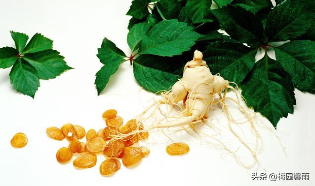 提高免疫力吃冬虫夏草还是西洋参,提高免疫力吃高丽参还是西洋参好