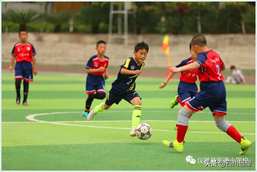 仪陇县新政小学足球联赛2023,仪陇县新政小学第九届足球比赛