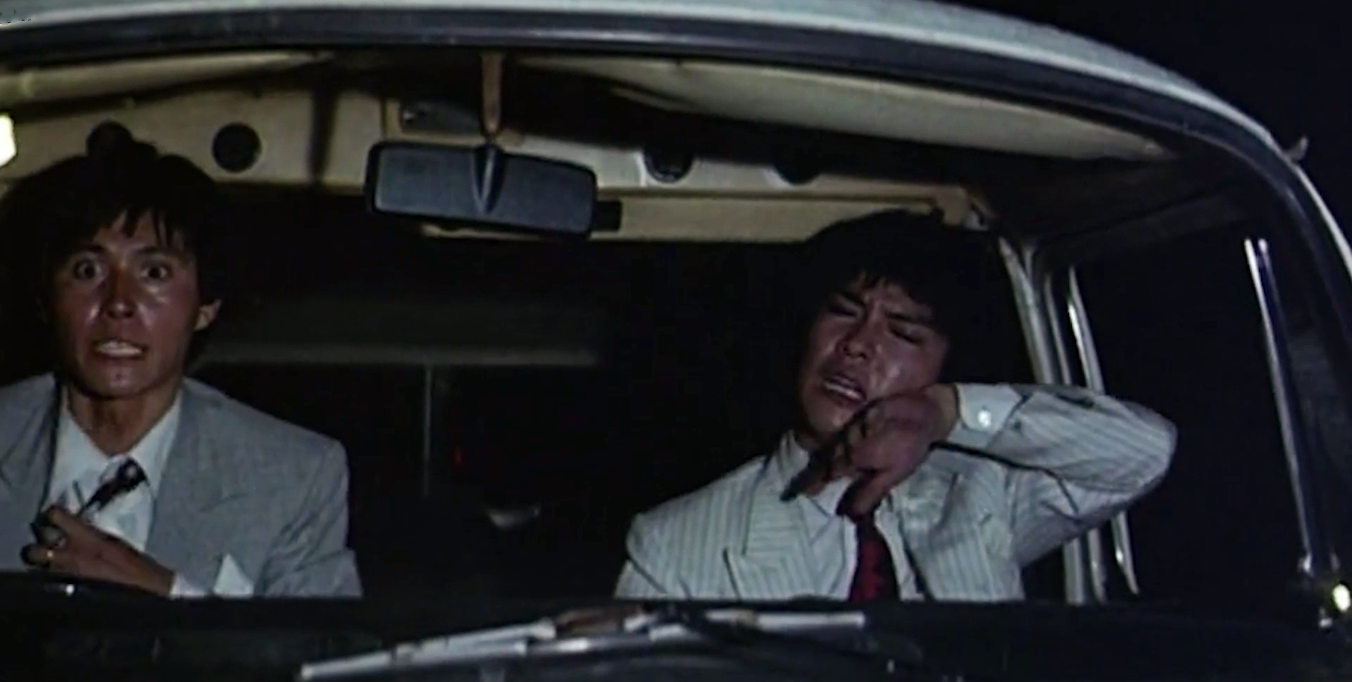 赶鸭子的小伙子,赶鸭的小伙