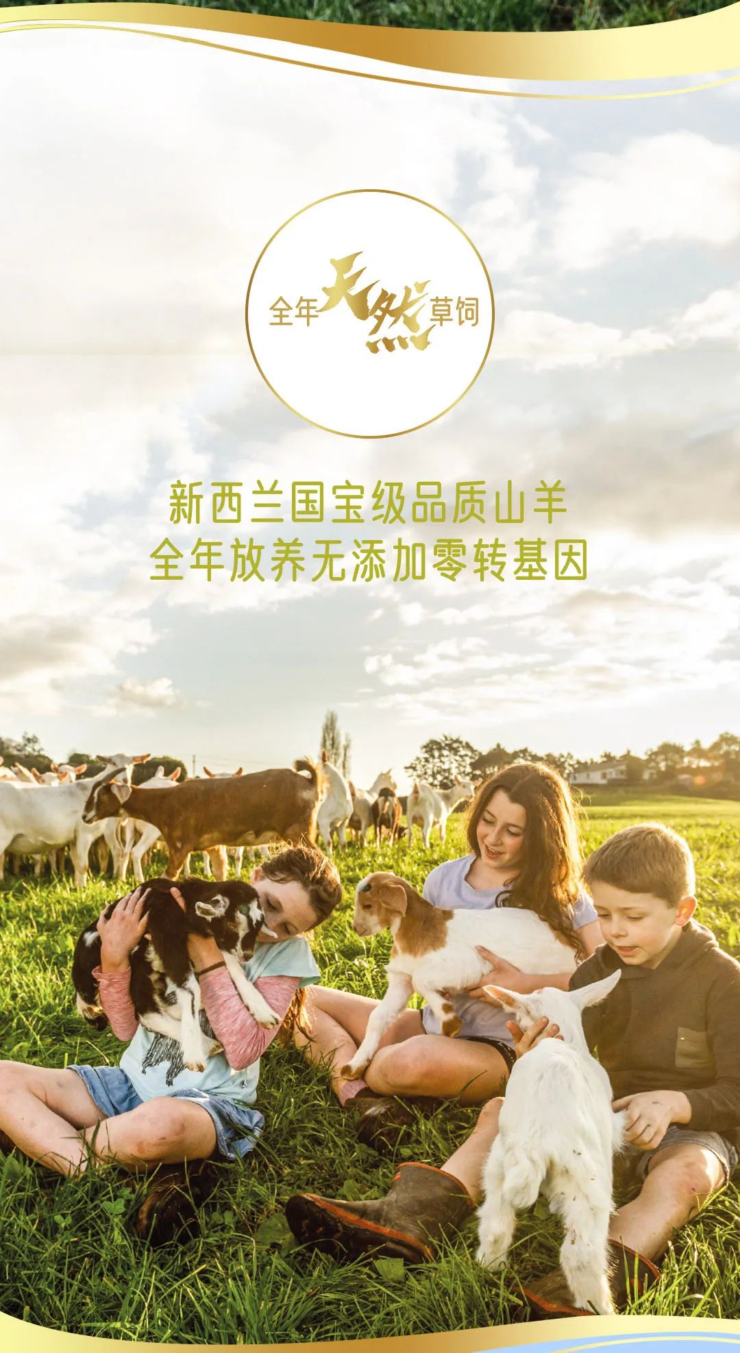 夏日必饮极致新鲜！典极羊乳酸菌饮品焕新上市，冷藏风味更佳