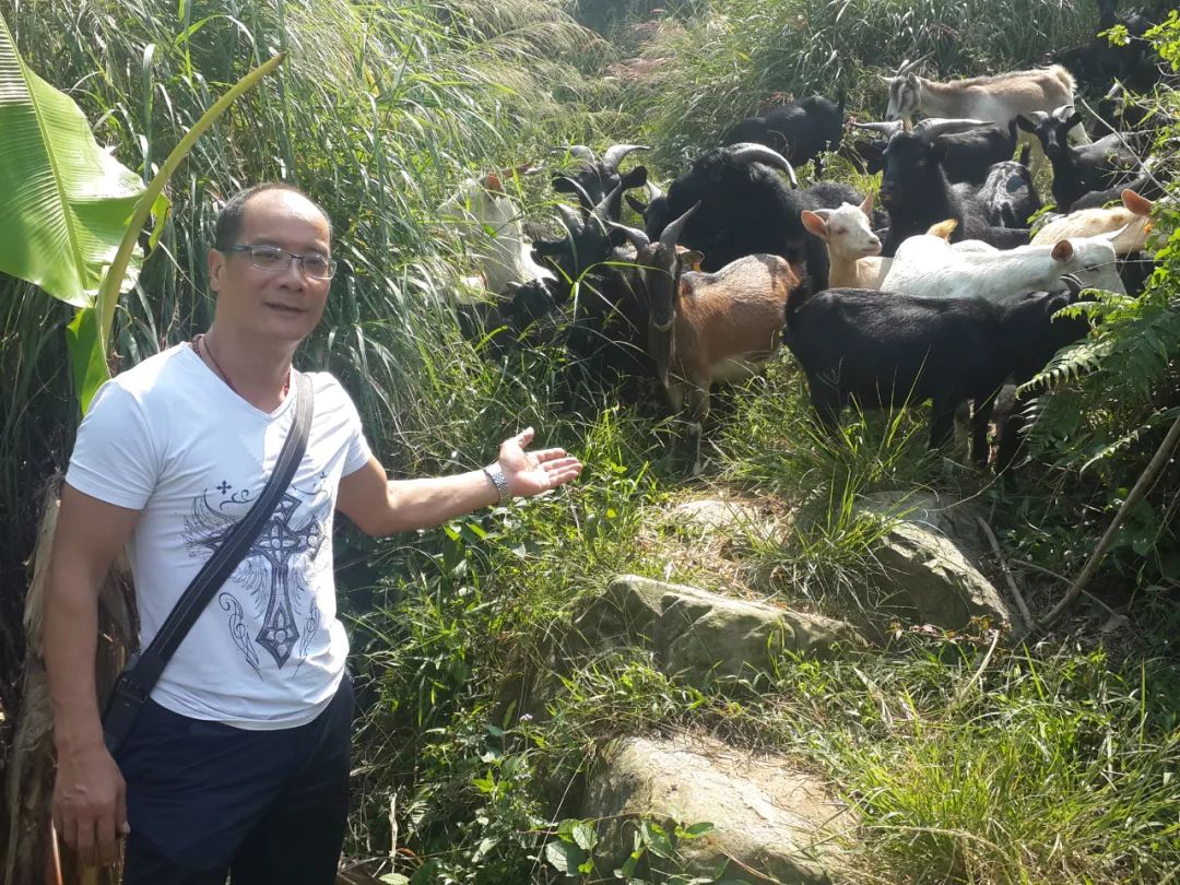 粤菜大厨卢镜泉,广州名厨卢镜泉