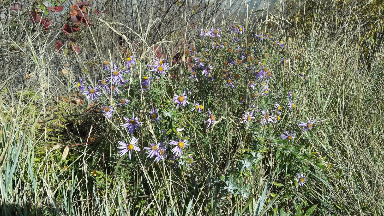 「金秋登山内晋冀」25:登恒山之快乐山行
