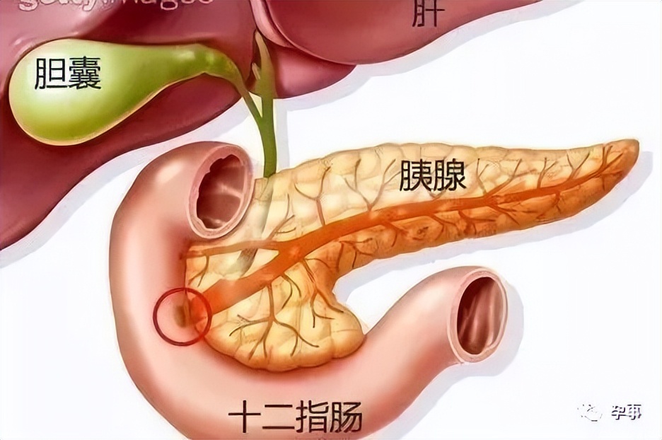 产妇大出血经历,产妇34天后出血