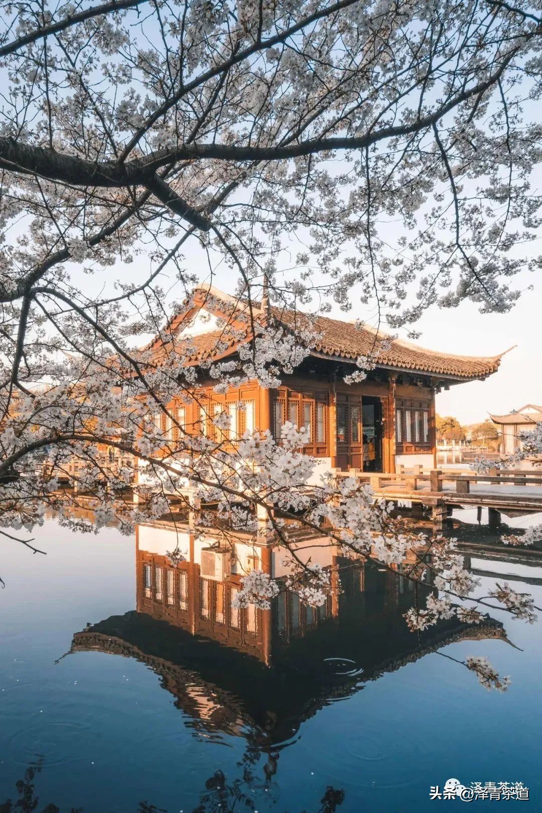 福建中国茶叶第一大省,中国茶叶排名第一省