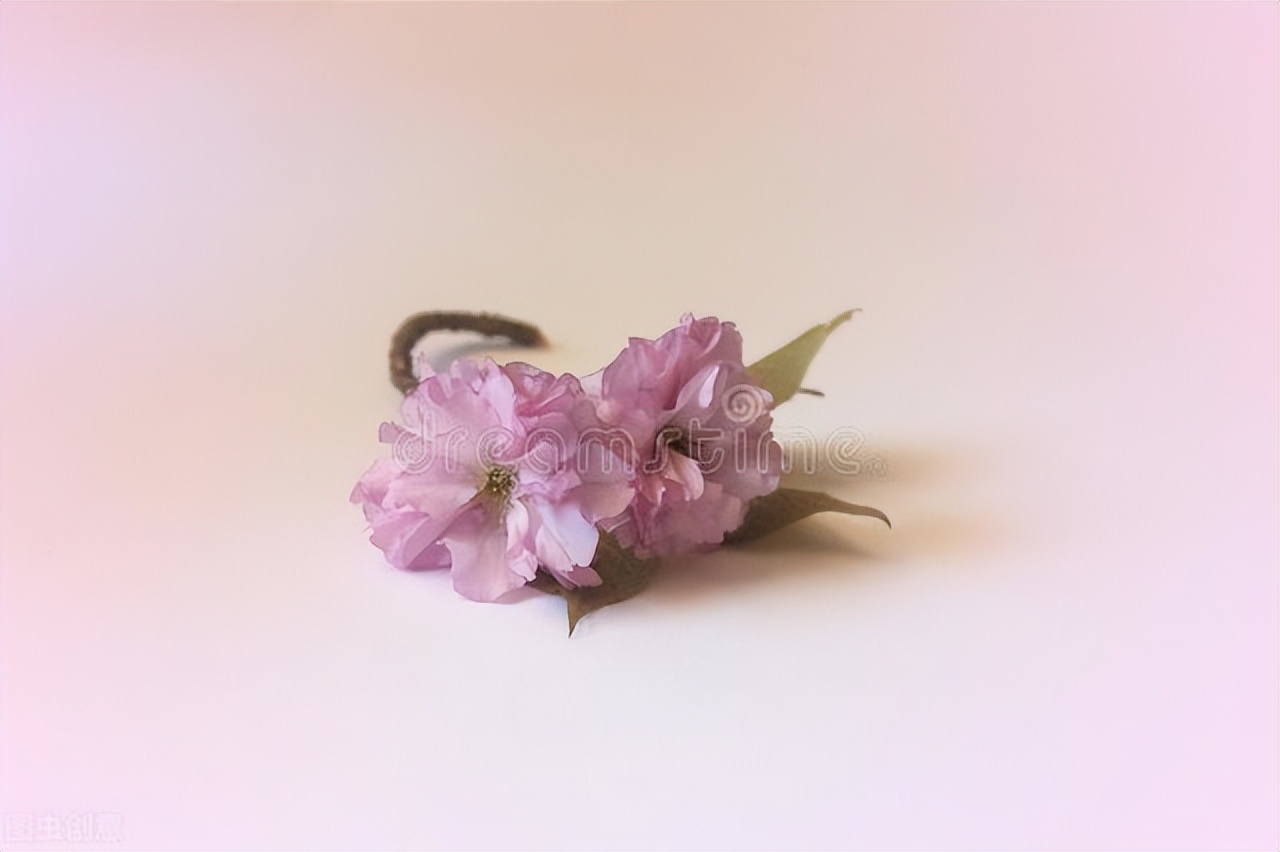 「大腿口语」“youmademyday”可不是“你制造我的一天”