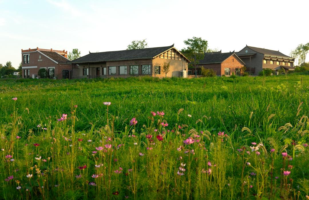 合肥周边五一好去处,合肥五一游玩攻略小孩