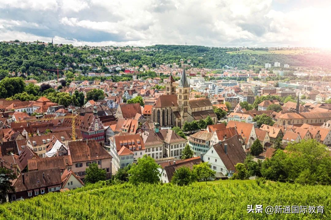 德国主场遭逆转2-4荷兰,德国惨遭淘汰