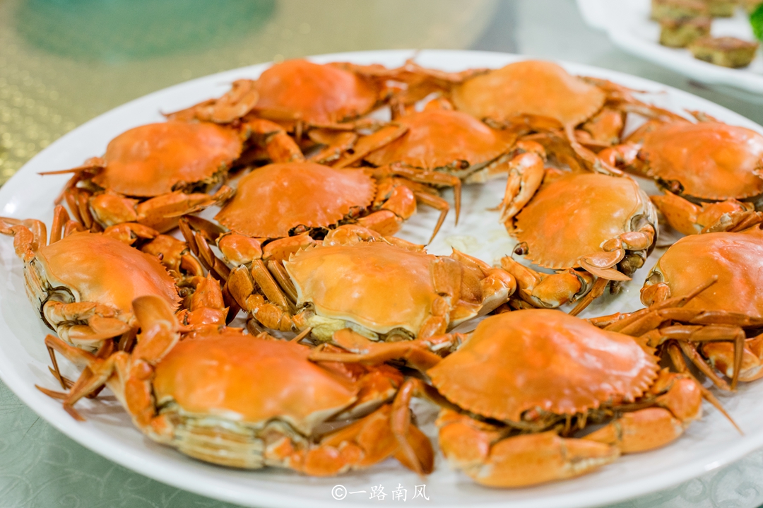 香港疍家人在船上的生活,广东八十年代疍家人船上生活饮食