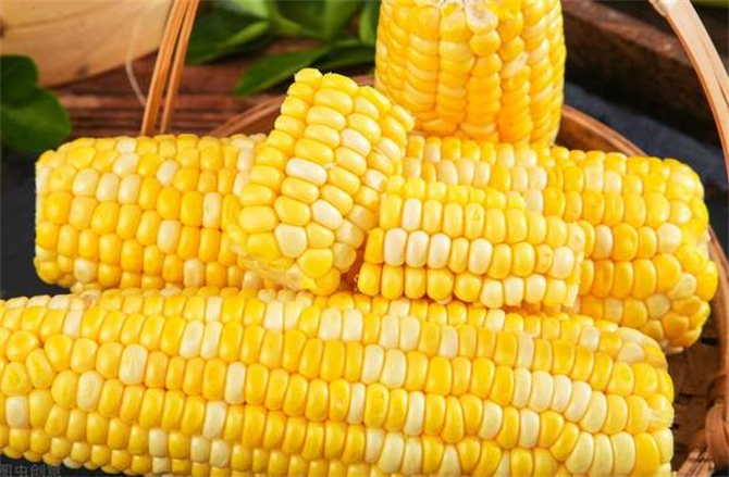 生玉米能吃不,生玉米能吃吗有毒吗