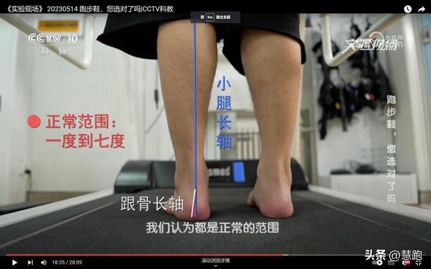 运动生理学测试实验报告,运动生物力学实验室纪录片