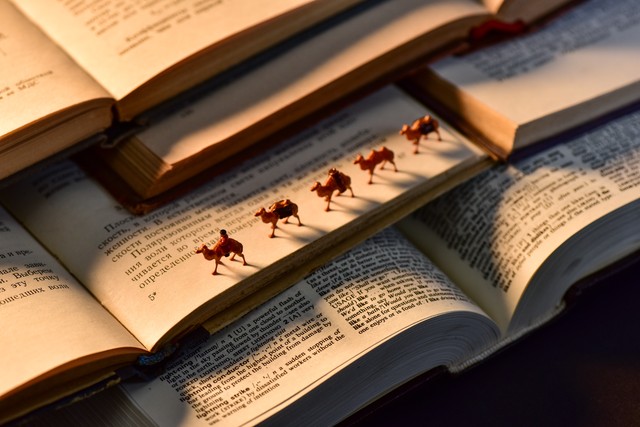 2024年必读书单,2023最值得读10遍的书