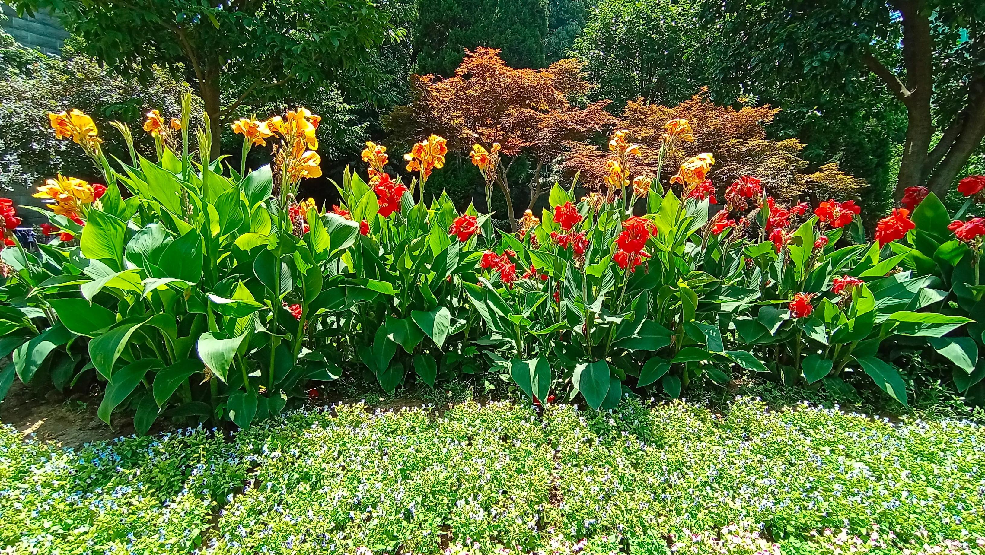 恭喜老婆升职了,老婆升职了老公心疼