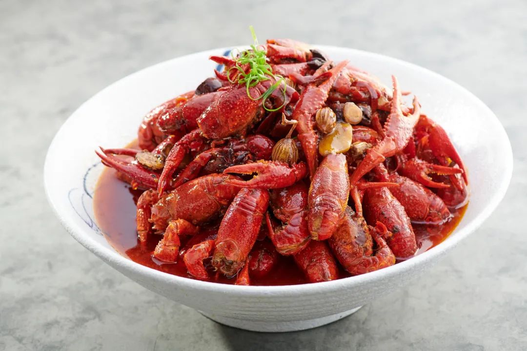 小龙虾怎么选择才是最好的,小龙虾怎么养活得快又好吃