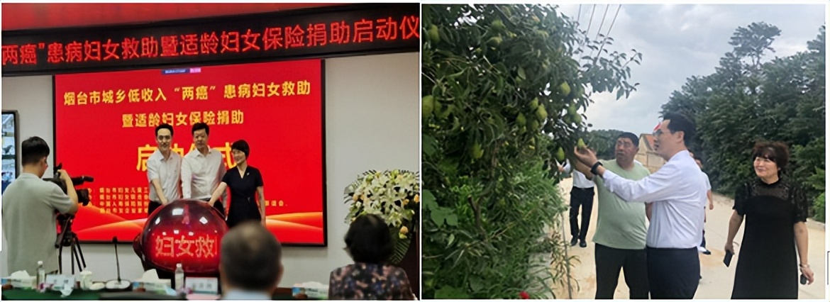 践行初心使命完善民生保障——中国人寿烟台分公司2022年服务地方发展纪实