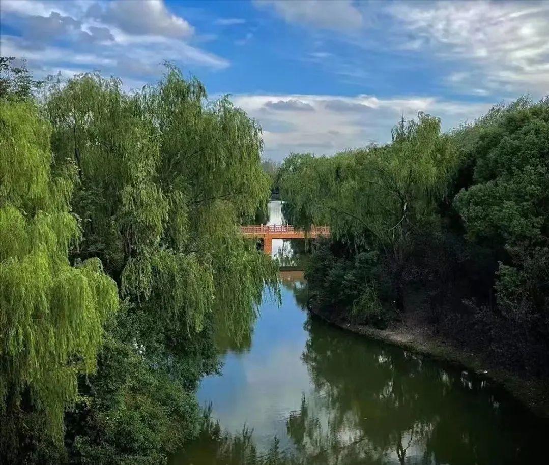 白金瀚宫别墅栋号分布图,白金瀚宫三期11层洋房