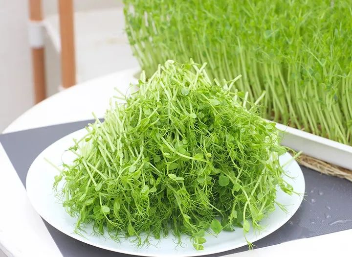 疫情过后买冰柜,疫情囤货买多大冰柜